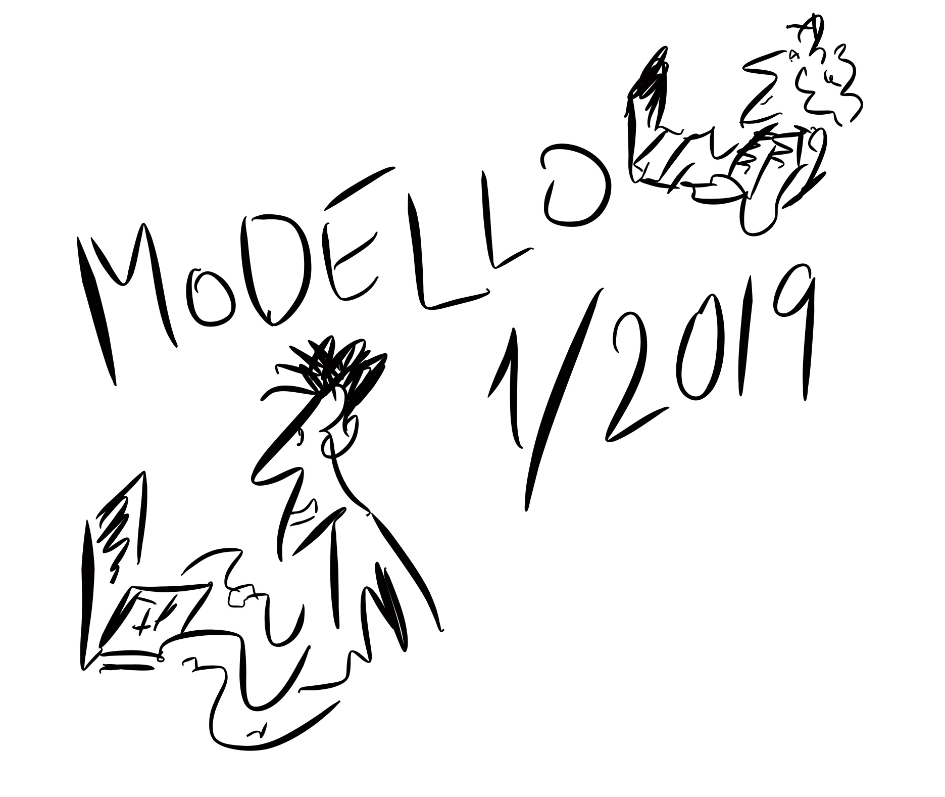 Modello1 19