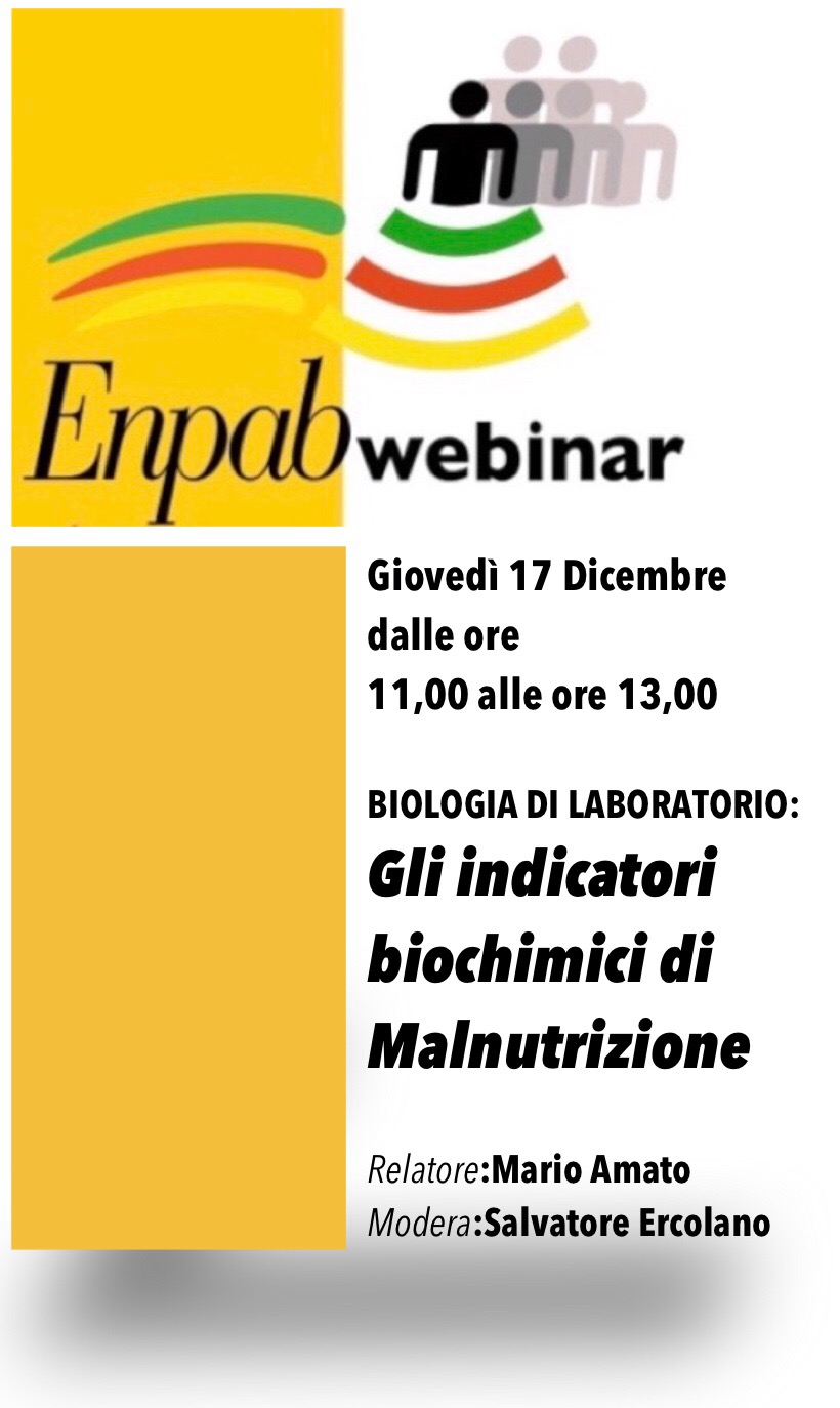 webinar17dicembre2020