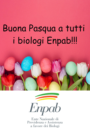 Schermata 2022 06 09 alle 14.52.58