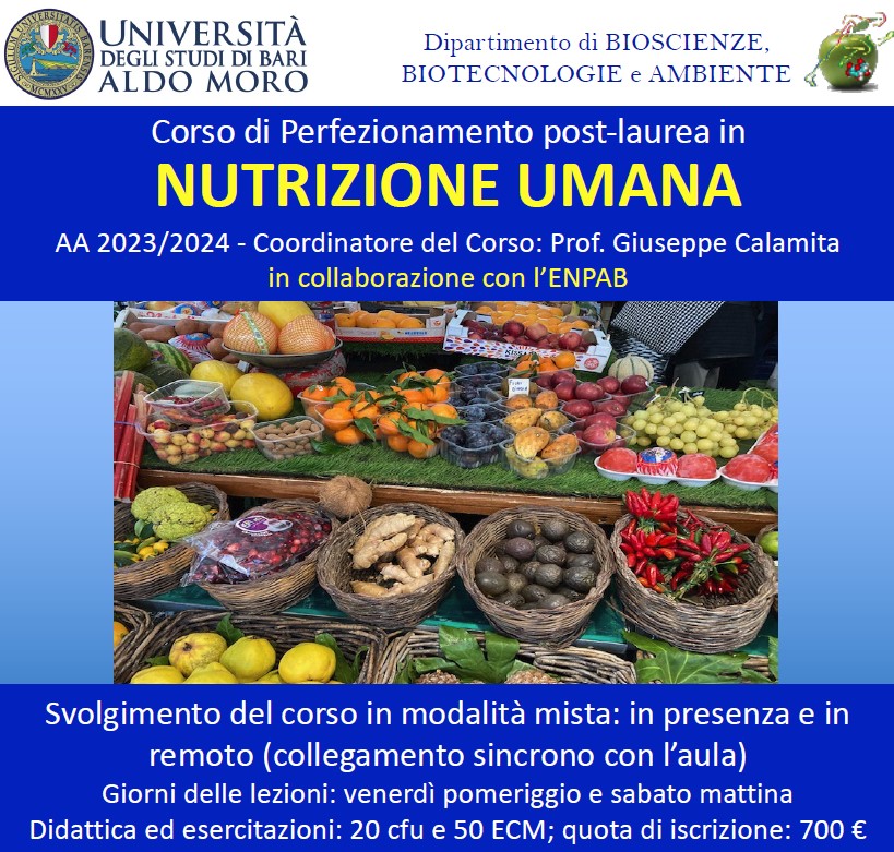 Schermata 2022 06 09 alle 14.52.58