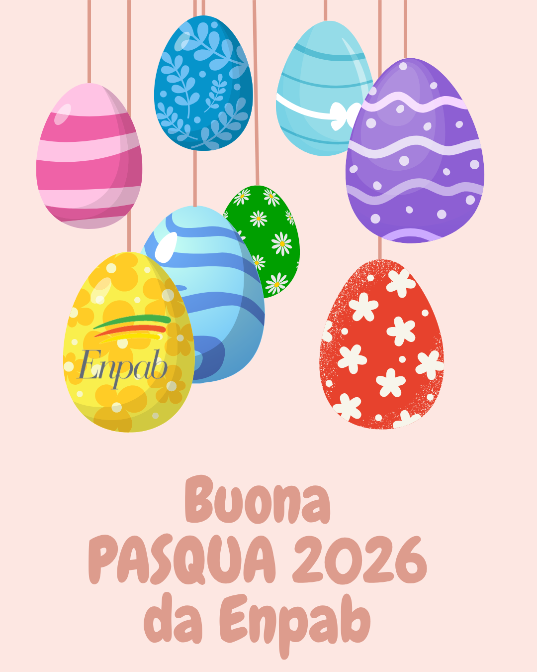 WhatsApp Image 2022 12 21 at 17.12.51