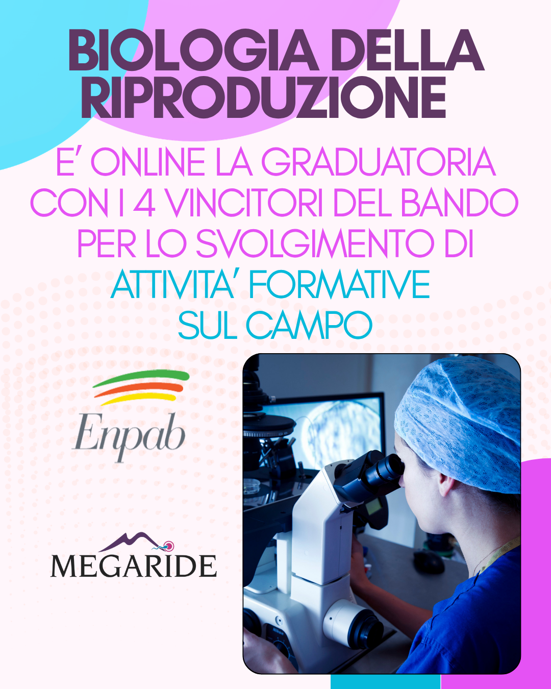 Schermata 2022 06 09 alle 14.52.58