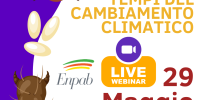 Webinar Enpab