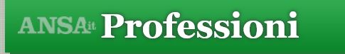 ANSA PROFESS